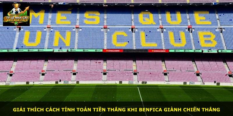 Giải thích cách tính toán tiền thắng khi Benfica giành chiến thắng