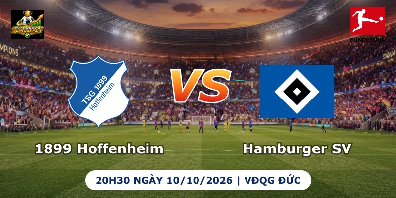 1899 Hoffenheim vs Hamburger SV